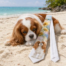 Recherche de cavalier cravates Chiot