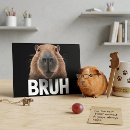Search for meme postcards Funny animal