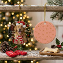 Search for golden retriever ornaments Holiday dog