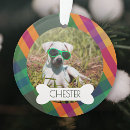 Search for dog bone ornaments Colourful