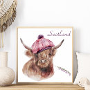 Search for funny cow art Scotland