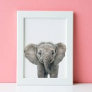 Search for safari nursery posters Elephant