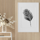 Recherche de palmier noir et blanc posters Nature