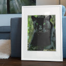 Search for black panthers posters Jaguar