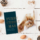 Search for three cats christmas cards Kitty