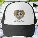 Search for dog baseball hats cat