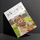 Recherche de treat halloween cards Enfants