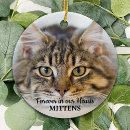 Recherche de chat de coeur Cats