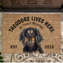 Recherche de dog lover Pets