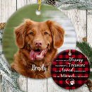 Search for red bandanas Dogs