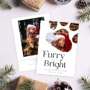 Search for furry christmas cards Funny christmas message