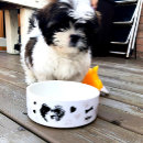 Recherche de shih tzu tissu Dogs