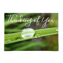 Search for simple thinking of you cards Nature