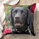 Search for black lab pillows Labrador retriever
