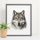 Search for wolf head art Watercolor