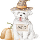 Search for orange and black halloween bags Purple