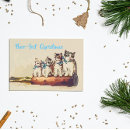 Search for victorian cat postcards Kittens