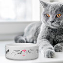 Search for cat bowls for pets