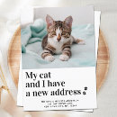 Search for new kitten invitations We've moved