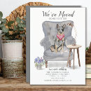 Recherche de brittany cartes postales Chien