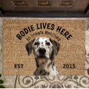 Search for dalmatian doormats Pets