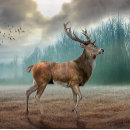 Search for deer stag tiles Antlers