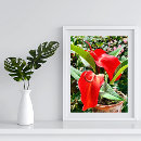 Search for anthurium posters Tropical