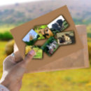 Recherche de african elephant cartes postales Faune