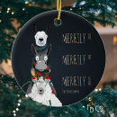 Search for family cartoon ornaments Animal