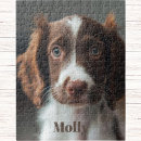 Search for activity games toy toy gifts Dog lover