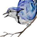 Search for blue jays stickers Animals