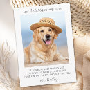 Search for fur ever cards From the dog