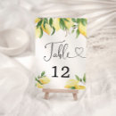 Search for bridal shower table cards Modern