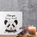 Recherche de pandas carreaux Drôle