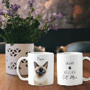 Recherche de siamois tasses Amoureux des chats