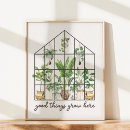 Recherche de plante de d art Tropical