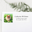 Search for cute st patricks day return address labels Dog