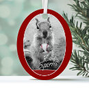 Search for rally ornaments Funny