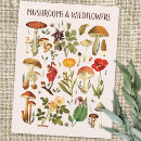 Recherche de champignons sauvages cartes postales Pour elle