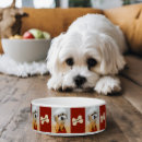 Search for mixed pet supplies Dogs