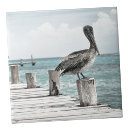Search for pelican tiles Ocean