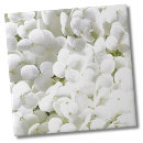 Search for white hydrangeas tiles Botanical