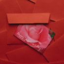 Search for galentines cards Floral