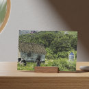 Search for medieval paintings postcards Castle