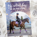 Search for equestrian holiday cards Snow