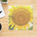 Search for large coasters Floral