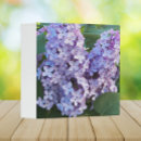 Recherche de floral pourpre rose bureau fournitures Botanique