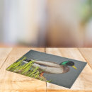 Recherche de faune planches à découper Photographie de la nature