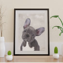 Recherche de terrier de boston posters Amoureux des animaux