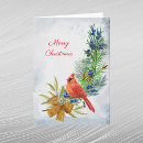 Search for red cardinal christmas cards Bird